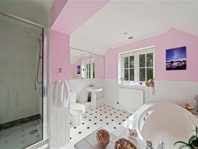 Picture 11